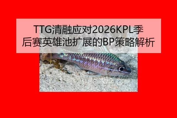 TTG清融应对2026KPL季后赛英雄池扩展的BP策略解析